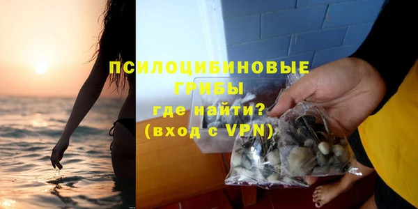 эйфоретик Баксан