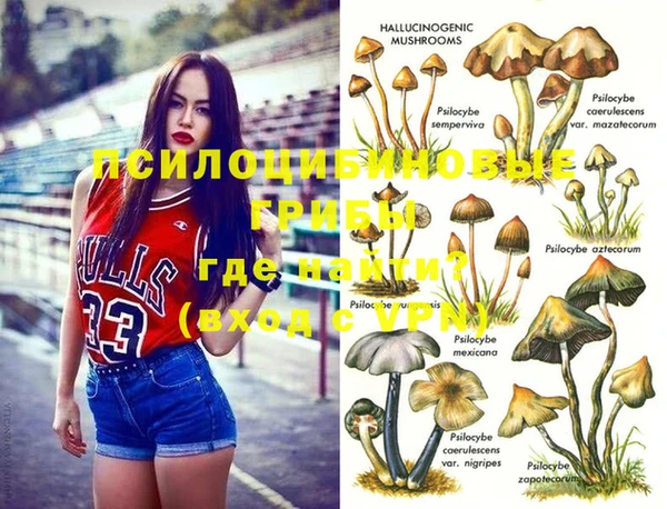 соль ск Балахна
