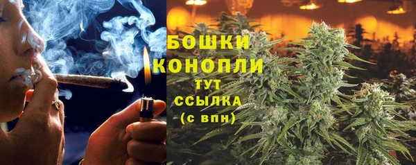 соль ск Балахна